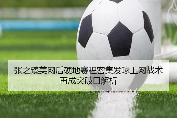 张之臻美网后硬地赛程密集发球上网战术再成突破口解析 | leyusports